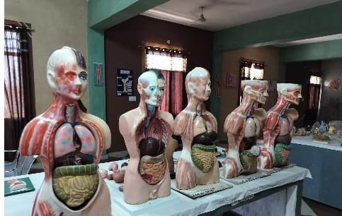 Deep Nursing Academy New Delhi Students Activity photo 14